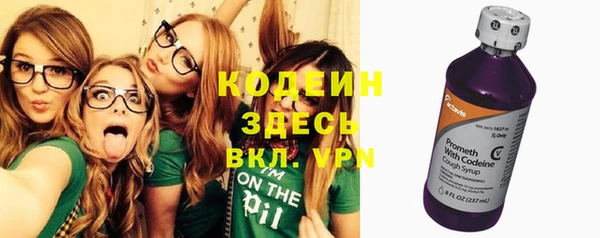 меф Дмитриев